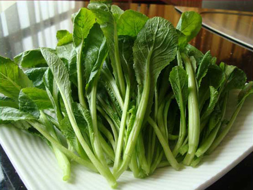 东莞蔬菜批发教你蔬菜清洗小妙招？